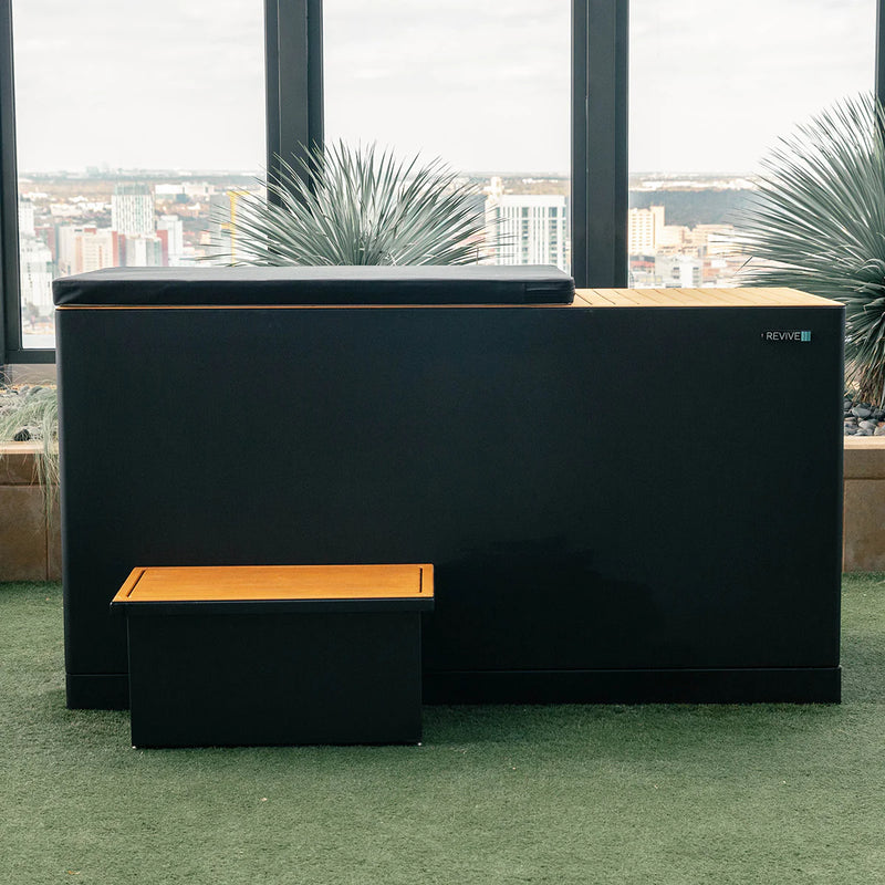 Load image into Gallery viewer, Revive Plunge Luxury Plunge & Chiller