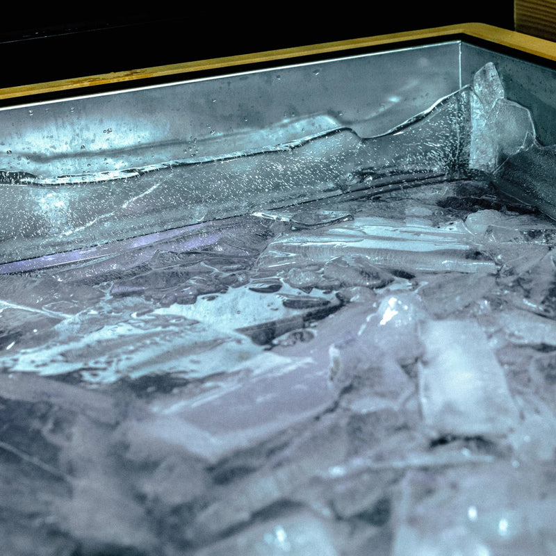 Load image into Gallery viewer, Revive Plunge Luxury Plunge & Chiller