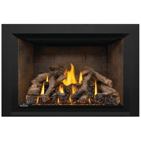 Load image into Gallery viewer, Napoleon Oakville™ X4 Direct Vent Electronic Ignition Natural Gas Firebox Insert GDIX4N
