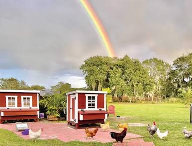 Load image into Gallery viewer, OverEZ Chicken Medium Chicken Coop - Up to 10 Chickens