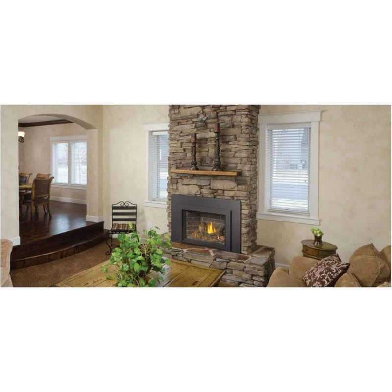 Load image into Gallery viewer, Napoleon 29" Oakville 3 Direct Vent Gas Fireplace Insert GDI3N-1