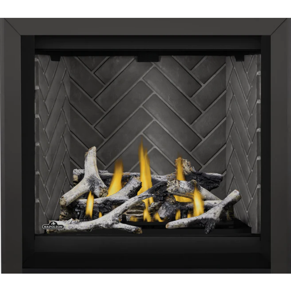 Load image into Gallery viewer, Napoleon 36'' Altitude Direct Vent Fireplace AX36NTE-1