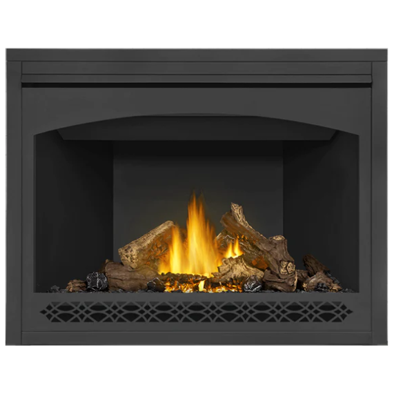 Load image into Gallery viewer, Napoleon Ascent 46 Direct Vent Electronic Ignition Natural Gas Fireplace - B46NTRE