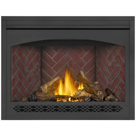 Load image into Gallery viewer, Napoleon Ascent 46 Direct Vent Electronic Ignition Natural Gas Fireplace - B46NTRE