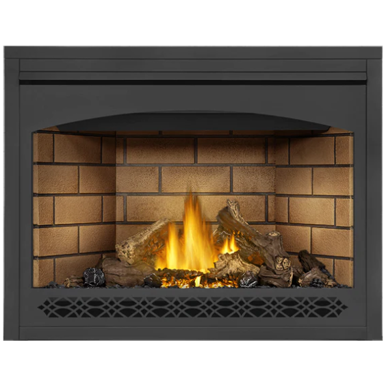Load image into Gallery viewer, Napoleon Ascent 46 Direct Vent Electronic Ignition Natural Gas Fireplace - B46NTRE