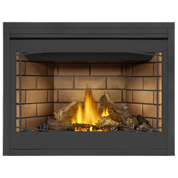 Load image into Gallery viewer, Napoleon Ascent 46 Direct Vent Electronic Ignition Natural Gas Fireplace - B46NTRE