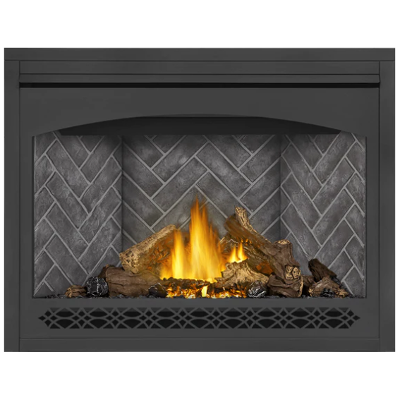 Load image into Gallery viewer, Napoleon Ascent 46 Direct Vent Electronic Ignition Natural Gas Fireplace - B46NTRE