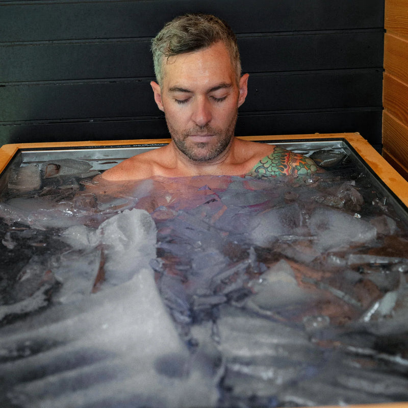 Load image into Gallery viewer, Revive Plunge Luxury Plunge &amp; Chiller
