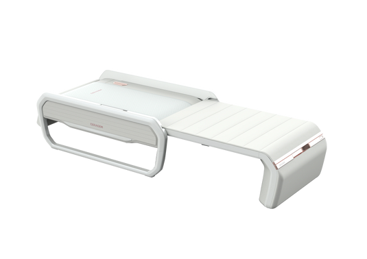 Ceragem V6 Therapeutic Bed