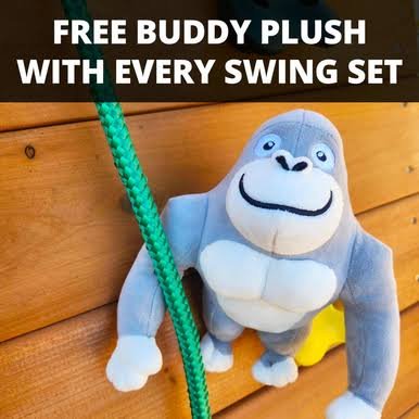 Swing-N-Slide Basic Swing Set