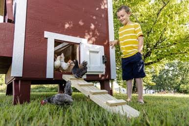 OverEZ Chicken Large Chicken Coop - Up to 15 Chickens