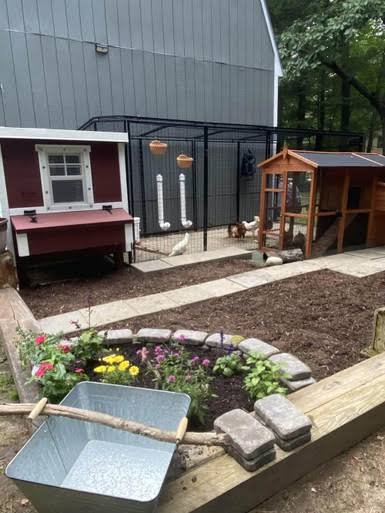 OverEZ Chicken Medium Chicken Coop - Up to 10 Chickens