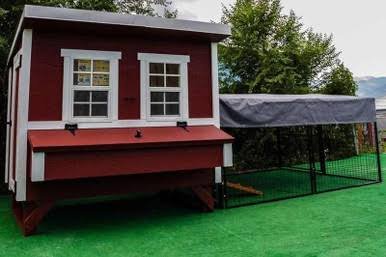 Tarp for Regular 8 ft. Chicken Run (7'W x 8'L x 4'H)