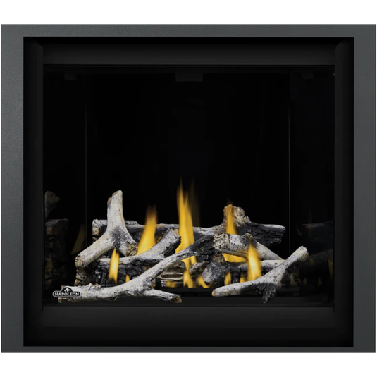 Napoleon 36'' Altitude Direct Vent Fireplace AX36NTE-1