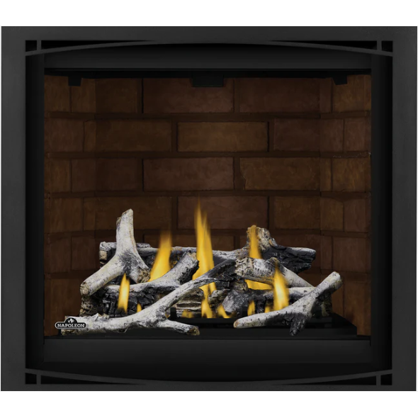 Load image into Gallery viewer, Napoleon 36'' Altitude Direct Vent Fireplace AX36NTE-1
