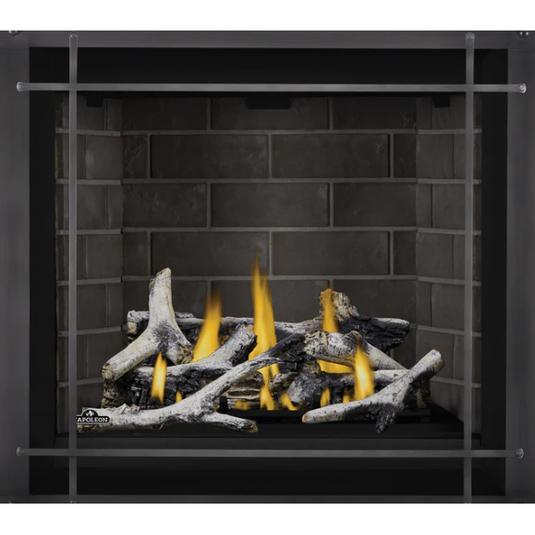 Napoleon 36'' Altitude Direct Vent Fireplace AX36NTE-1