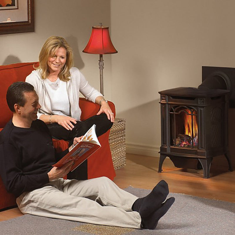 Load image into Gallery viewer, Napoleon Arlington™ Direct Vent Stove, Natural Gas, Electronic Ignition - Black GDS20NE
