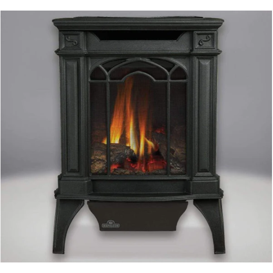 Load image into Gallery viewer, Napoleon Arlington™ Direct Vent Stove, Natural Gas, Electronic Ignition - Black GDS20NE
