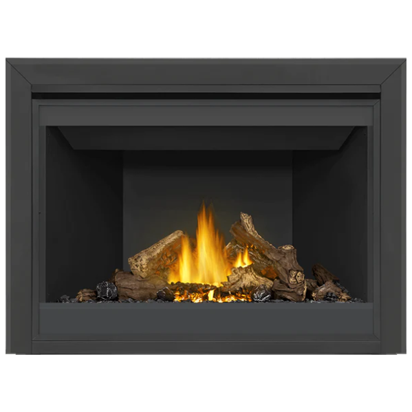 Load image into Gallery viewer, Napoleon Ascent 46 Direct Vent Electronic Ignition Natural Gas Fireplace - B46NTRE
