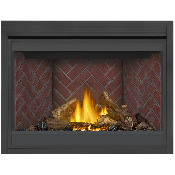 Load image into Gallery viewer, Napoleon Ascent 46 Direct Vent Electronic Ignition Natural Gas Fireplace - B46NTRE
