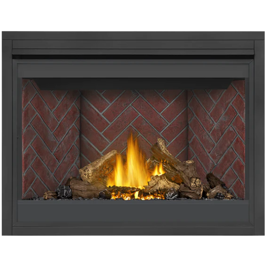 Napoleon Ascent 46 Direct Vent Electronic Ignition Natural Gas Fireplace - B46NTRE