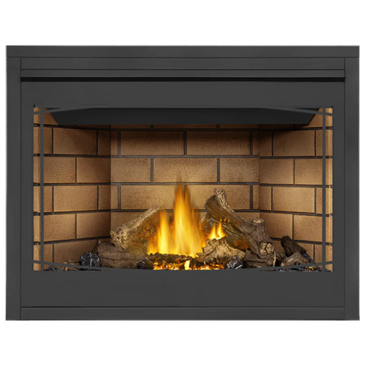 Napoleon Ascent 46 Direct Vent Electronic Ignition Natural Gas Fireplace - B46NTRE